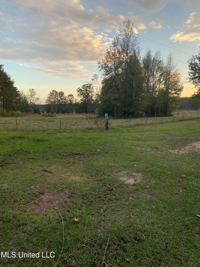 yard at dusk with a rural view