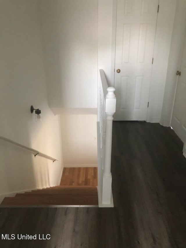 stairway with hardwood / wood-style floors