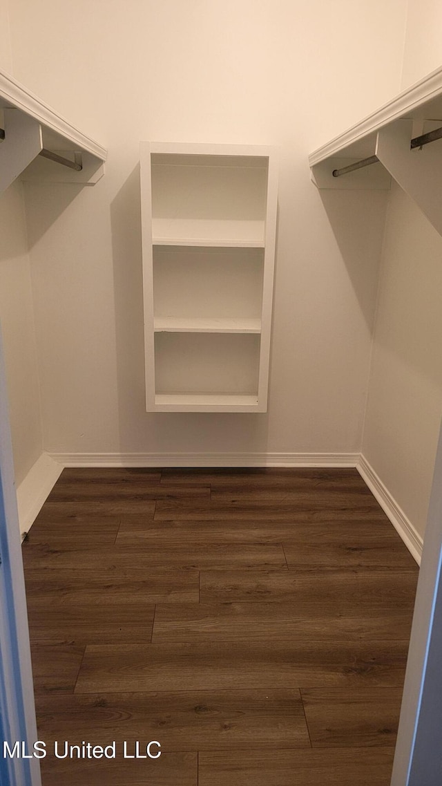 walk in closet with dark wood-type flooring