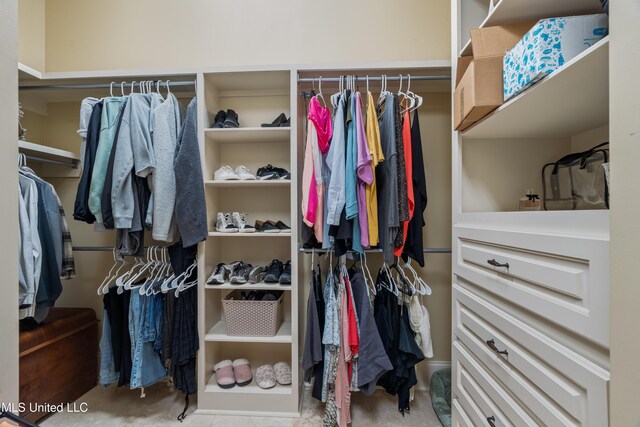 10 Magnolia Crossing Rd, Sumrall, MS 39482 - view of walk in closet