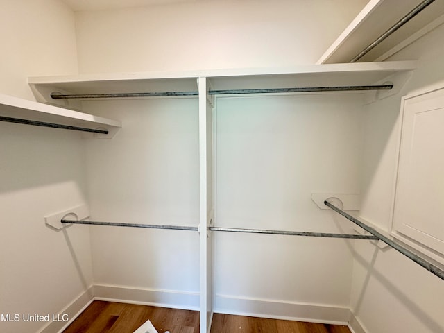 spacious closet featuring dark hardwood / wood-style floors