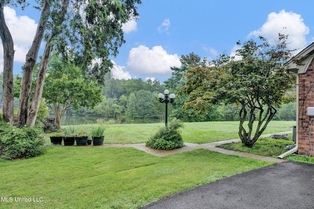 8140 Hunters Hill Cv, Olive Branch, MS 38654 - view of grassy yard