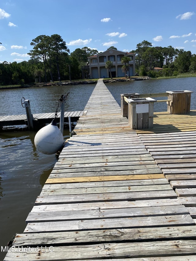 dock area with a water view