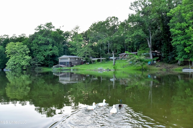 10991 High Rd, Hernando, MS 38632 - water view