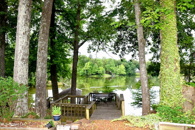 10991 High Rd, Hernando, MS 38632 - dock with a water view