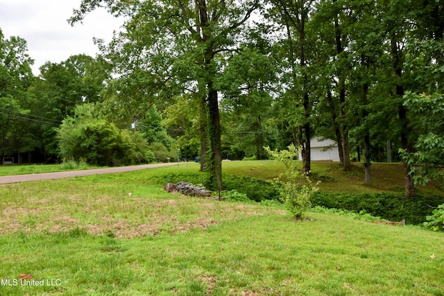 10991 High Rd, Hernando, MS 38632 - view of grassy yard