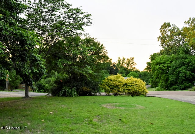 10991 High Rd, Hernando, MS 38632 - view of grassy yard