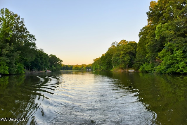 10991 High Rd, Hernando, MS 38632 - water view with a heavily wooded area