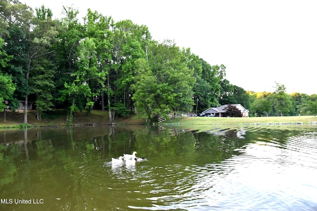 10991 High Rd, Hernando, MS 38632 - water view