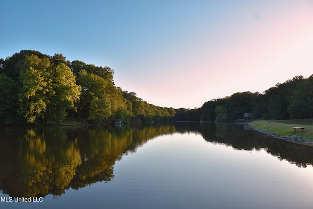 10991 High Rd, Hernando, MS 38632 - water view with a forest