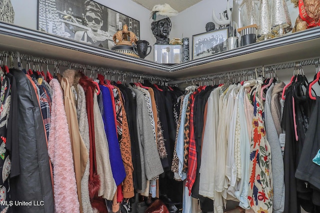 697 Country Place Dr, Pearl, MS 39208 - view of walk in closet