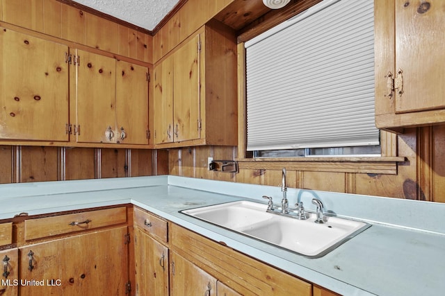 kitchen featuring sink, a textured ceiling, and wood walls