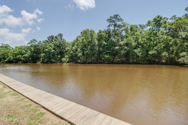 12 Bayou View Dr, Gulfport, MS 39507 - dock featuring a water view