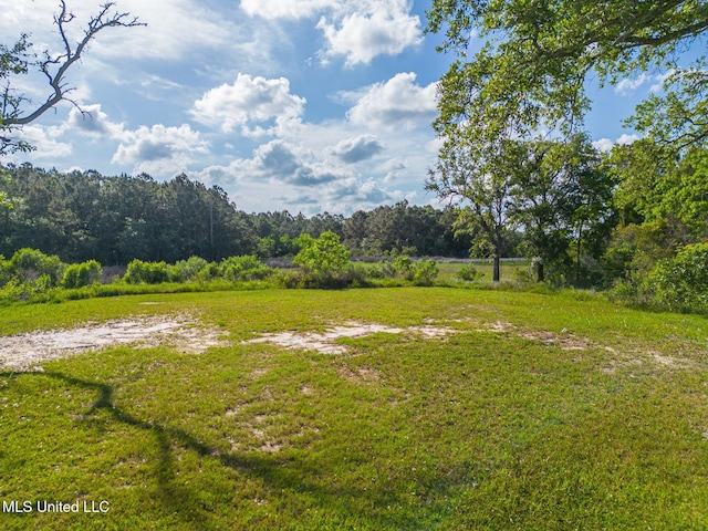 111 Pine Tree St, Bay Saint Louis, MS 39520