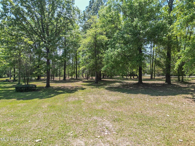 41 C G Evans Rd, Wiggins, MS 39577 - view of yard
