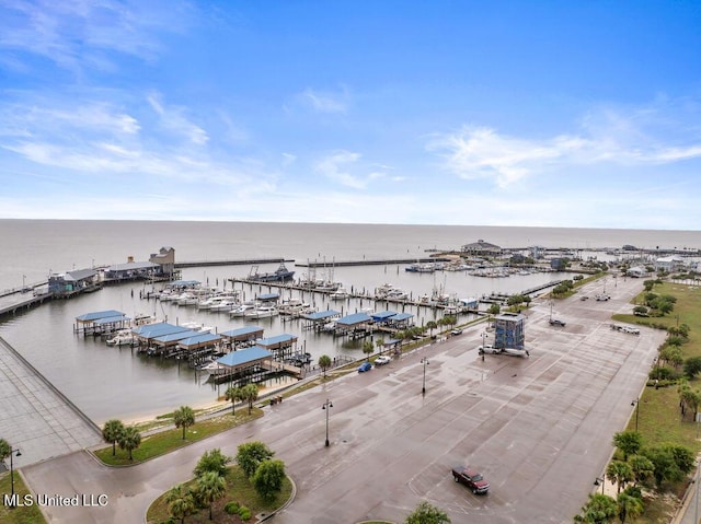aerial view of a large body of water and a marina