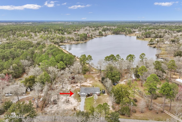 bird's eye view featuring a water view and a forest view