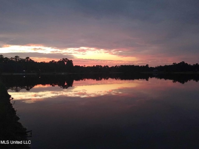 property view of water