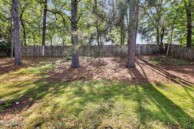 244 Massey Cir, Carthage, MS 39051 - view of yard
