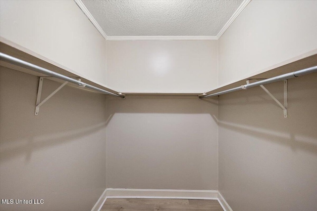 244 Massey Cir, Carthage, MS 39051 - spacious closet featuring wood finished floors