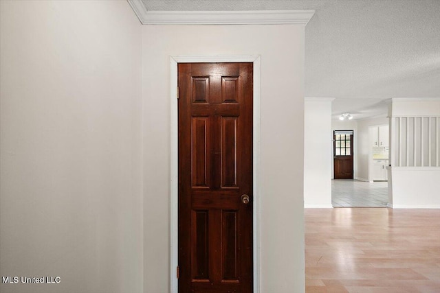 244 Massey Cir, Carthage, MS 39051 - hallway with crown molding, a textured ceiling, wood finished floors, and baseboards