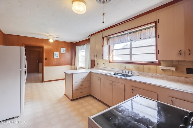 kitchen with kitchen peninsula, ornamental molding, ceiling fan, sink, and white refrigerator