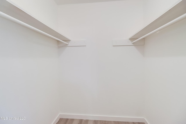 spacious closet featuring light wood finished floors