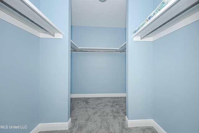 walk in closet with carpet flooring