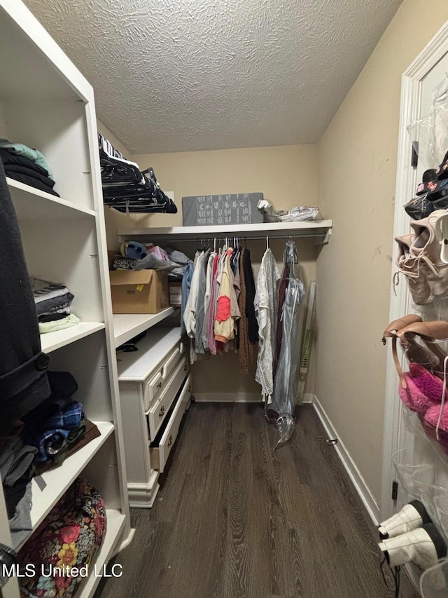 spacious closet with dark hardwood / wood-style flooring