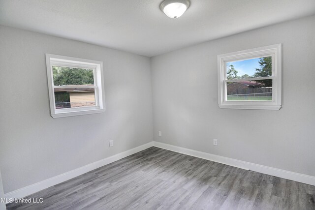 unfurnished room featuring wood-type flooring and a healthy amount of sunlight