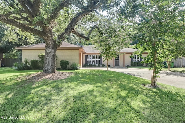 ranch-style home with a front lawn