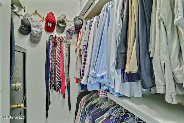 view of walk in closet