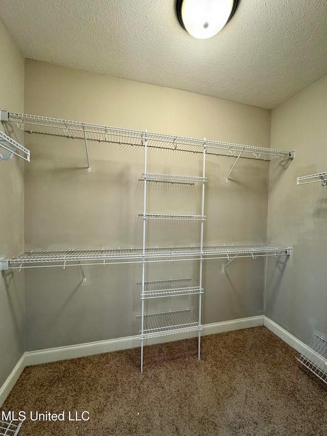 spacious closet featuring carpet