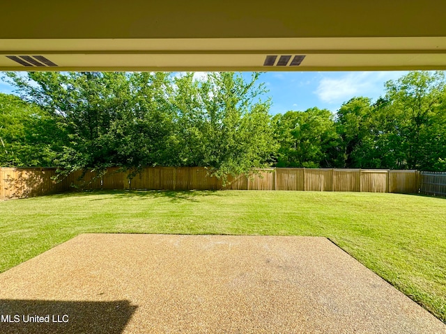 view of yard with a patio