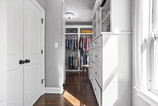 walk in closet with dark wood-style floors