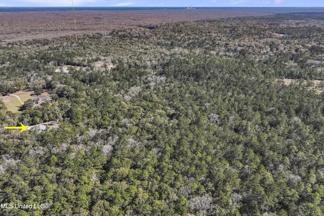 aerial view with a forest view