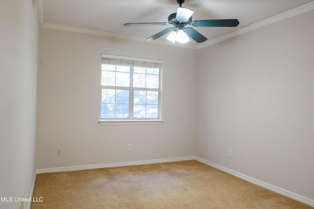 carpeted spare room featuring ceiling fan, a textured ceiling, and ornamental molding