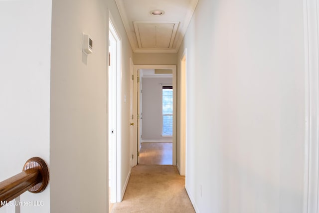 hall with light colored carpet and ornamental molding