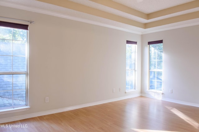 spare room featuring a textured ceiling, light wood-type flooring, and a wealth of natural light