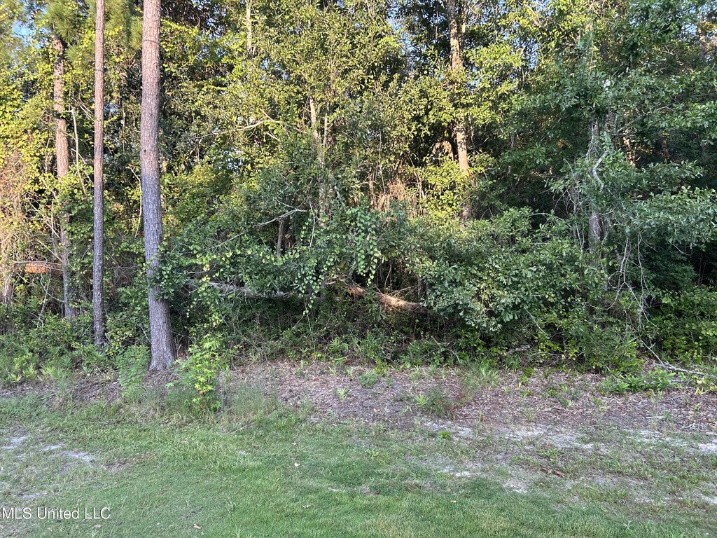 0 N Diamondhead Dr, Diamondhead, MS 39525