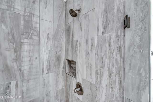 room details with tiled shower