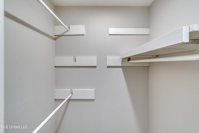 view of walk in closet