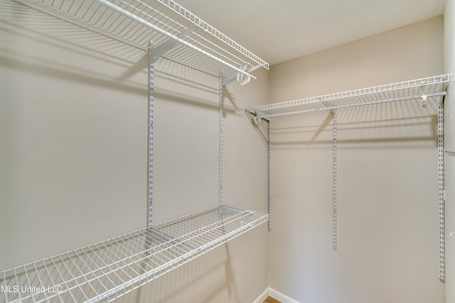 view of walk in closet