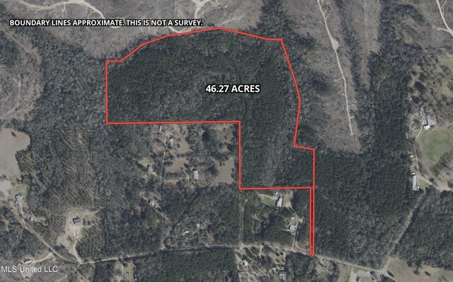 Nelson Rd, Poplarville, MS 39470