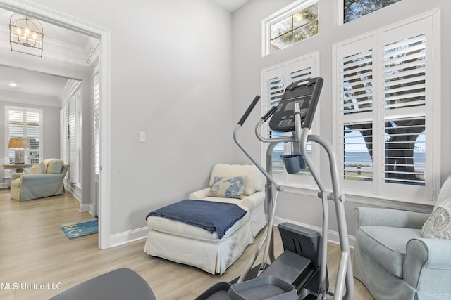 exercise area featuring a healthy amount of sunlight, baseboards, ornamental molding, and wood finished floors