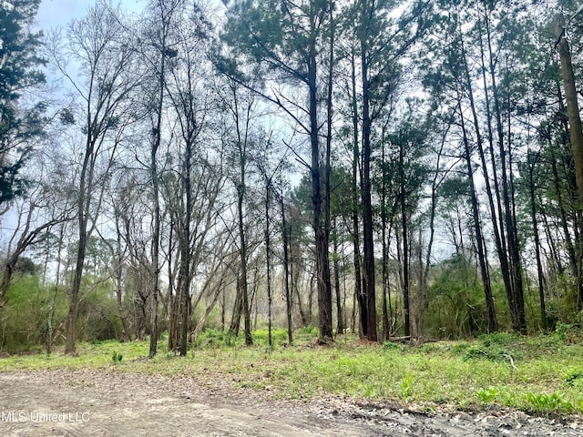 0000 Pabst Rd, Ocean Springs, MS 39564