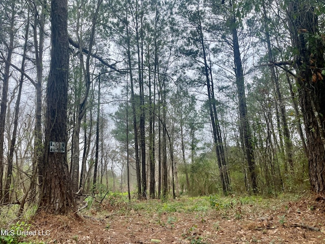 0000 Pabst Rd, Ocean Springs, MS 39564