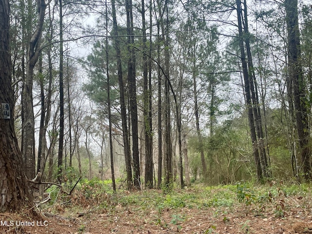 0000 Pabst Rd, Ocean Springs, MS 39564