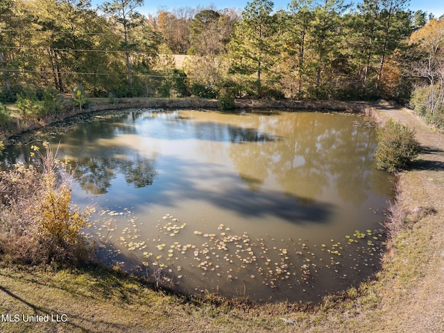 property view of water