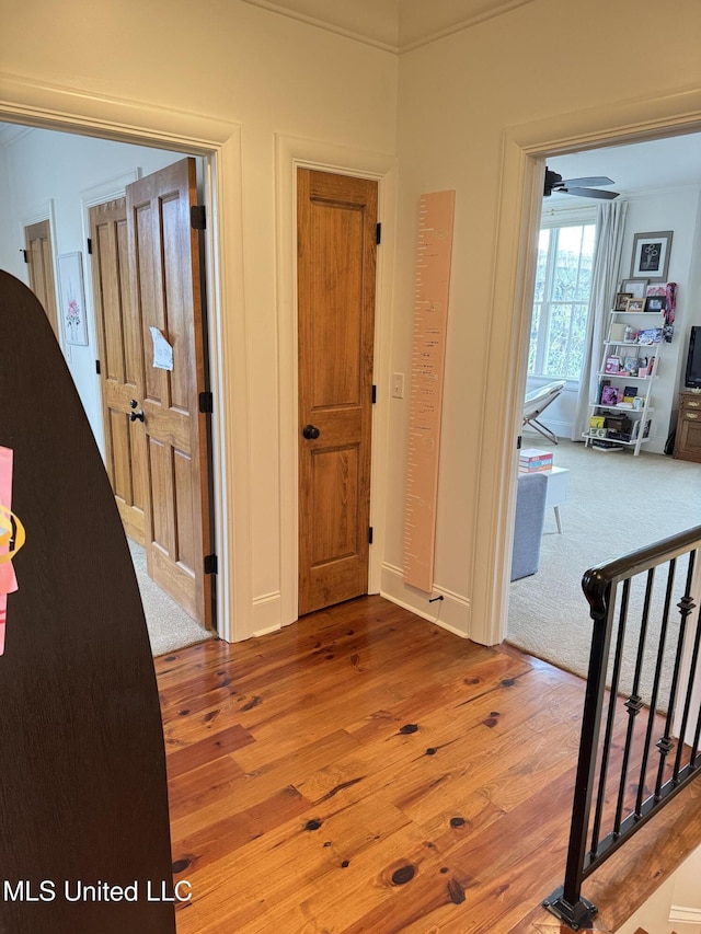 202 Eastpark St, Ridgeland, MS 39157 - corridor with wood finished floors and stairs